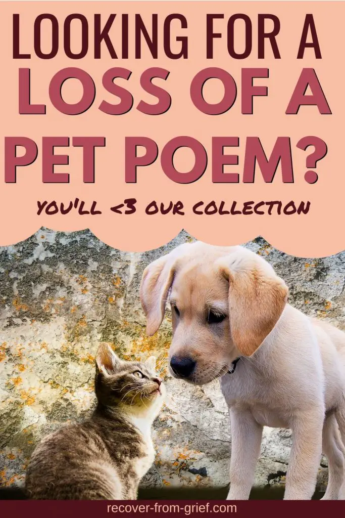 Loss Of A Pet Poem - Comforting Words to Soothe Your Soul - Recover