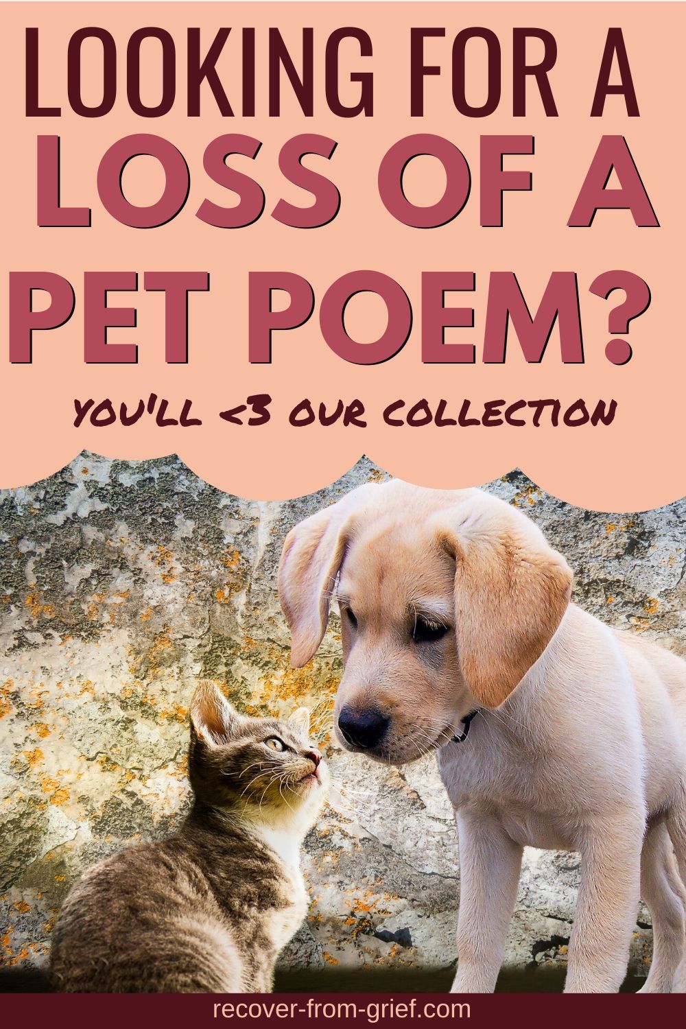 Animal Sympathy Poems For Loss Of Mother Sitedoct