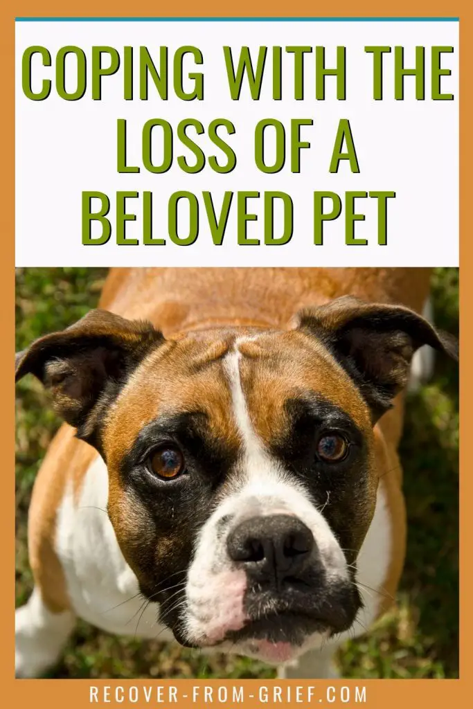 Pet Death - Coping With the Loss of a Beloved Pet - Recover From Grief