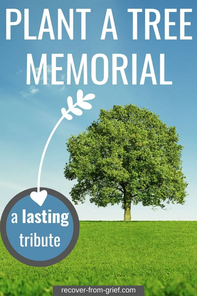 Plant A Tree Memorial A Lasting Tribute Recover From Grief